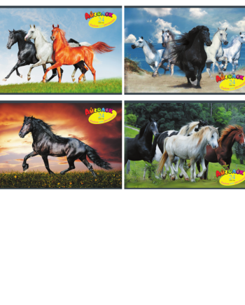 horses-alb24